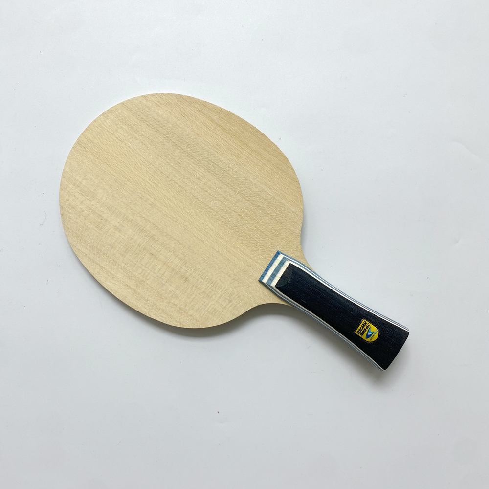Lemuria VIS Carbon Fiber Table - Table Tennis Yasaka ulasan dan harga