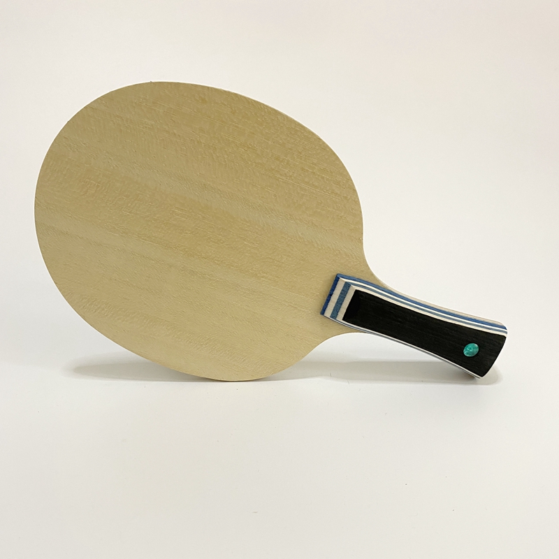 Lemuria VIS Carbon Fiber Table - Table Tennis Yasaka ulasan dan harga