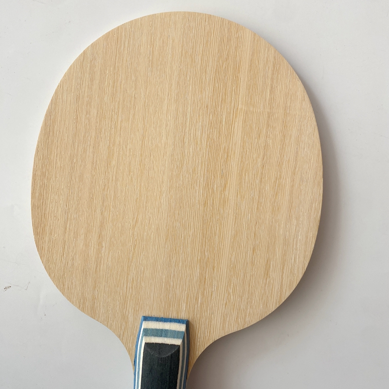 Lemuria VIS Carbon Fiber Table - Table Tennis Yasaka ulasan dan harga