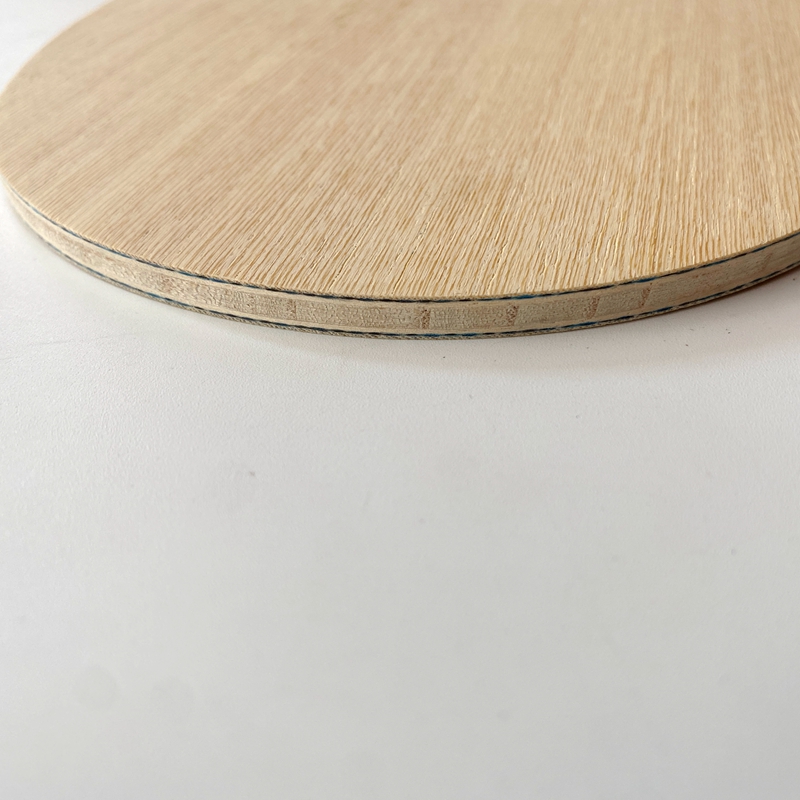 Lemuria VIS Carbon Fiber Table - Table Tennis Yasaka ulasan dan harga